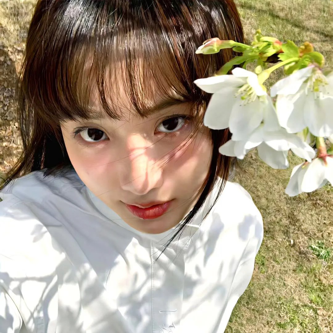 警探维斯廷第五季