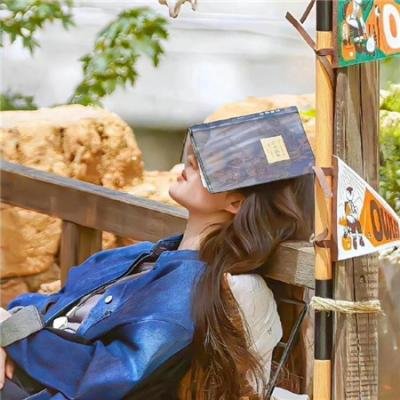 歌手 当打之年 秘密版